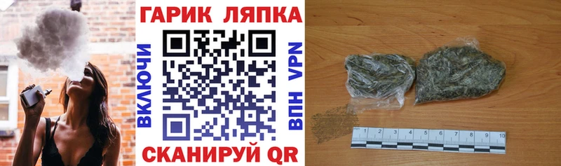 ГАШ Premium  Судак 