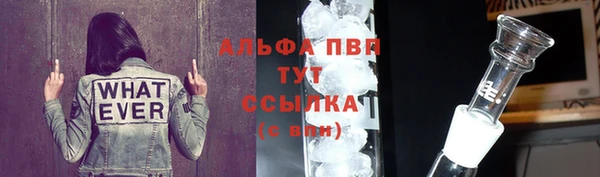 гашик Арсеньев