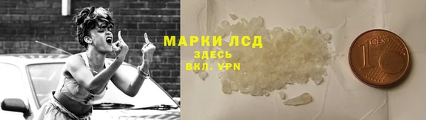 гашик Арсеньев