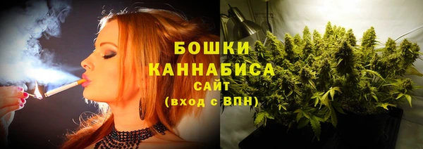 гашик Арсеньев