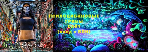 гашик Арсеньев