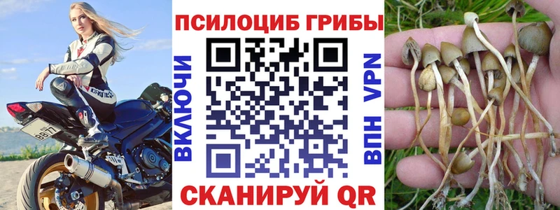 Псилоцибиновые грибы GOLDEN TEACHER Судак